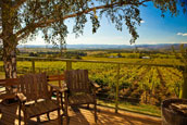 Yarra Valley Victoria wine holidays