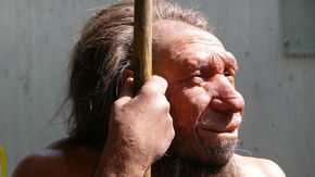 a Neanderthal man