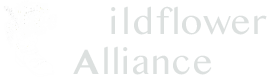 Wildflower Alliance